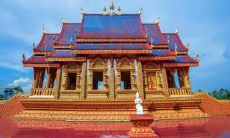 2022年属蛇犯太岁能结婚么 2022年运势解析