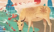 为什么都说属牛的不好 属牛没有好命的吗