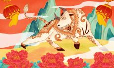 为什么都说属牛的人好 属牛人际关系好吗