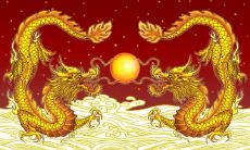 88年属龙最难的几年 属龙不顺怎么化解好