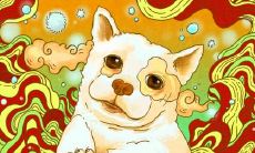 属狗的什么时候结婚 属狗人结婚利月