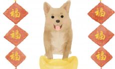 属狗有没有暴富的可能 什么时候会发财