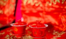 2022年属猪破太岁年可以结婚吗 属猪人感情运势