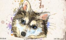 属狗有没有出息 属狗怎样增加财运