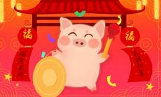 属猪幸运色花都是什么 吉利颜色和幸运花