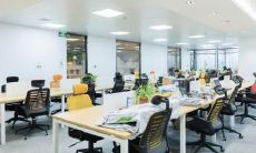 属龙不宜去的方位 属龙适合做什么行业