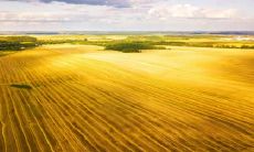 属马不宜去的方位 什么行业不适合属马人