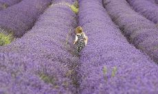 2020年中秋节出生的人五行缺土女孩起名大全文雅