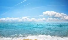 牛宝宝九月二十八 这一天的宝宝五行缺什么