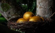 属牛女几月出生最旺夫 牛女最适合几点生