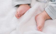 属猴虎年能要小孩吗 属猴人最适合生什么生肖的宝宝