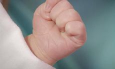 属鸡的妈妈属兔的孩子 鸡和兔在一起对谁不利