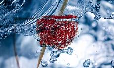 12月生的牛宝宝好不好 五行分析