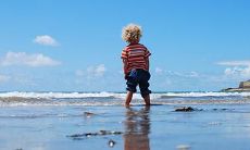 妈妈属鼠孩子属虎 家里不能同时出现的三个属相