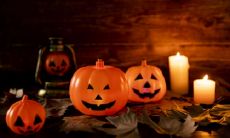 属鼠女一生的命运如何 属鼠女很可怕吗