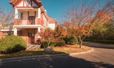 2022年属狗能建房子吗 2022年属狗的运势有影响吗