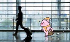 属龙宜去的城市 属龙想旺财需要水吗