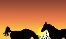 属龙宜去的方位 属龙最应该发展的领域