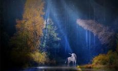 为什么都说属马的百年大运来了 2022年属马运势解析