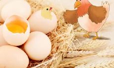 为什么都说属鸡的晚上生好，白天生不好