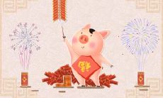 为什么都说属猪五月份出生不好 属猪最忌几月生