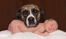 七夕节是什么时候？2020年七夕节出生的宝宝乳名取名