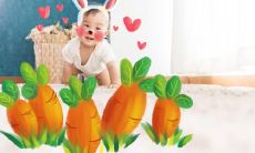 有没有属兔的明星 什么名人在兔年出生