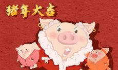 为什么七月的猪是犯月 属猪几月是犯月