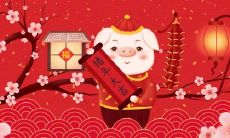 属猪用什么头像最旺财 能带来好运