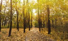 冲太岁化解方法有哪些 冲太岁是什么