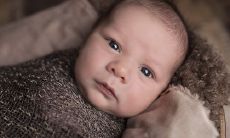 农历八月出生的男人命运，2020农历八月鼠宝宝名字