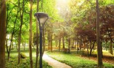 属龙2021.11.27运势 心情不佳