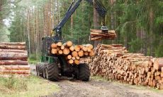 属龙2021.9.29运势 收获满满