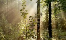 属龙2021.9.14运势 感情运下降