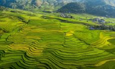 属龙2021.8.27运势 提升竞争力才有收获