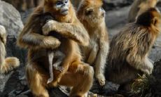 属猴2021.12.5运势 伴侣不理解你