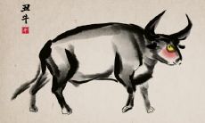 生肖蛇男人的性格特点是什么 感情专一吗