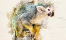 七月猴自得是什么意思 七月猴比较好命吗