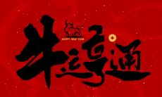 生肖是以农历为准还是阳历为准 2021属牛吗