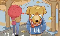 为何属牛人晚年凄凉 73年属牛人命运好吗