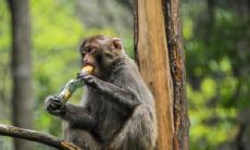 属猴2021.10.7运势 做事稳重