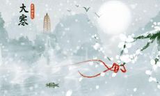 2020庚子年农历十二月初八大寒后一天出生是水瓶座吗？