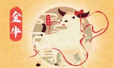 十二星座：2019金牛座开年这样做祝你学业顺利