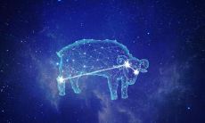 2019年白羊座星座运势详解，运势最好的星座！