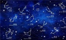 农历十一月出生的人的星座所对应的塔罗牌是什么？