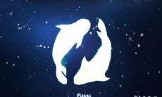 双鱼座2023年4月运势查询 2023年4月双鱼座运势运程分析