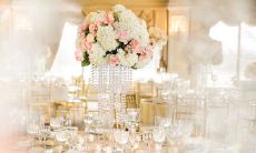 2020农历十一月十九生日的是摩羯座吗？配对解析！