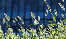 贵阳有什么节日风俗 贵州贵阳的风俗有哪些