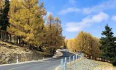 东北立秋吃什么 东北秋天吃什么菜合适