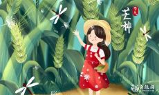 芒种是什么时候 芒种要干什么